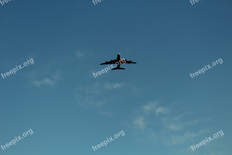 Travel Plane View Flight Aircraft Sky