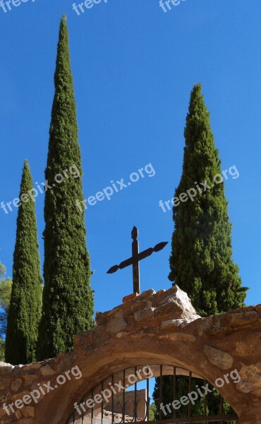 Cemetery Cypress Transcendence Cross Religious