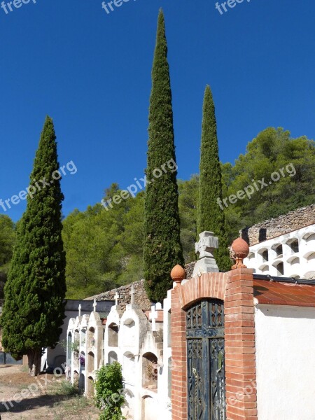 Cemetery Cypress Niches Transcendence Symbol Summer