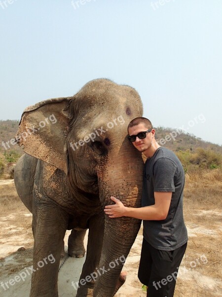 Elephant Boy Thailand Nature Animal