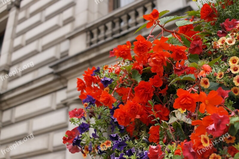 Red Flowers Landscape Flowers And Building Flower Gardens Flowers