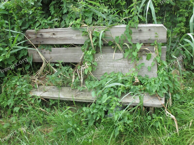 Bank Entwine Green Climbing Plants Overgrown