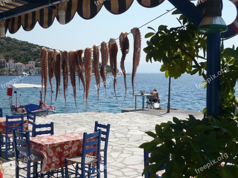 Vacations Greece Octopus Sea View Summer