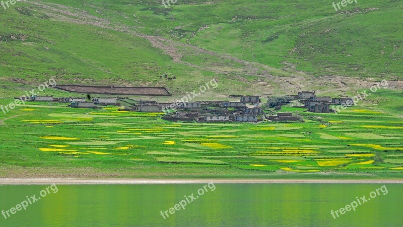 Tibet Landscape Agriculture Color Free Photos