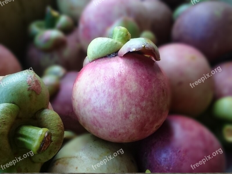 Mangosteen Thailand Exotic Fruit Healthy