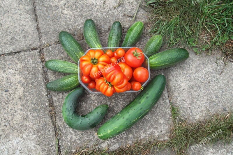 Thanksgiving Fruits Vegetables Fruit Nature