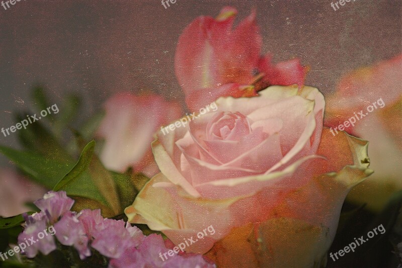 Bouquet Flowers Rose Thank You Pink