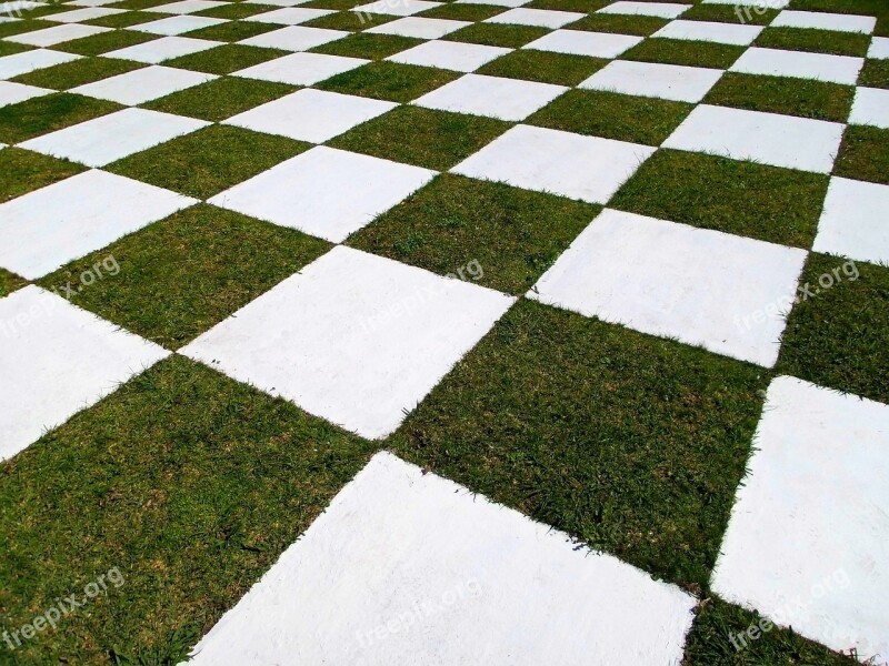 Square Garden Grid Grass Decoration