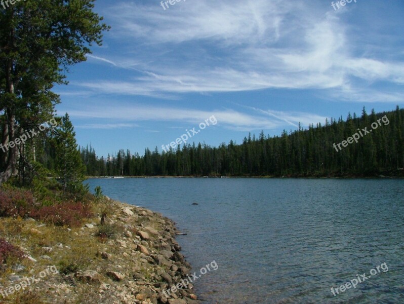 Lake Forest Fishing Placid Scenic