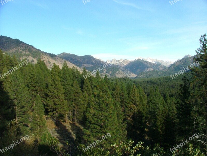 Mountain Range View Scenic Forest