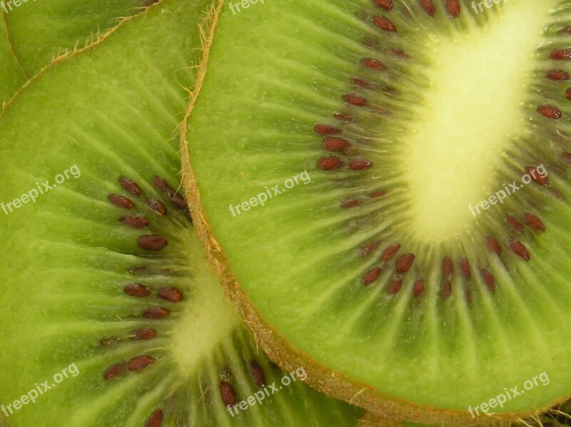 Fruit Green Nature Kiwi Free Photos