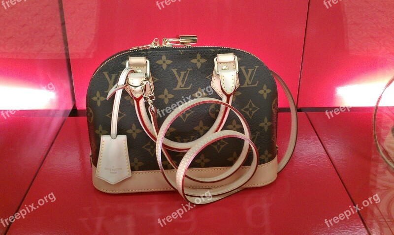 Bag Louis Vuitton Brown Beige Noble