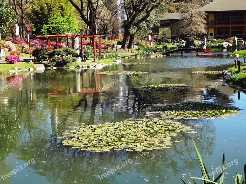 Lake Japanese Garden Buenos Aires Free Photos