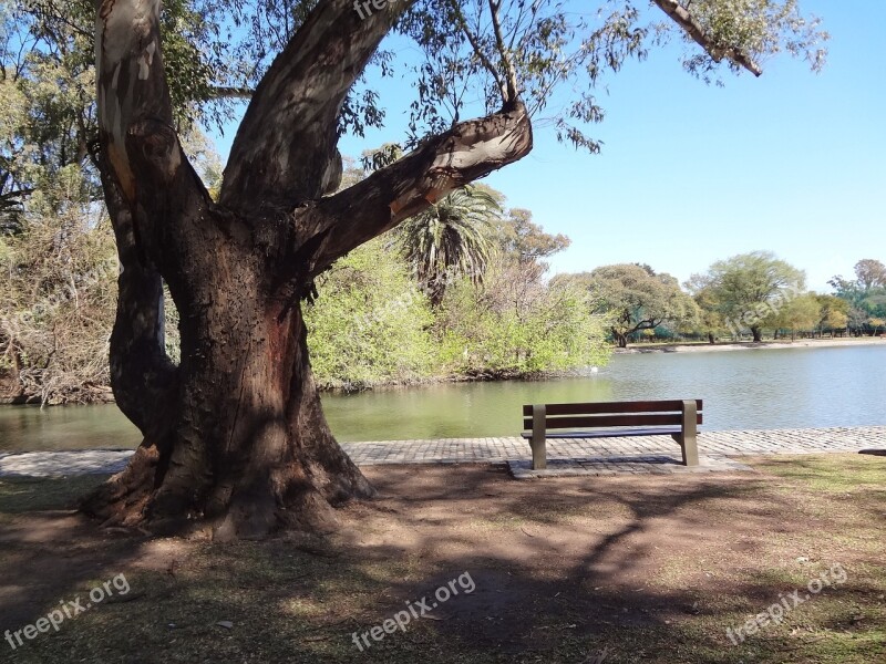 Lake Bank Park Trees Groves Of Palermo