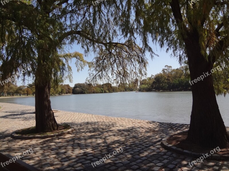 Lake Trees Groves Of Palermo Buenos Aires Free Photos