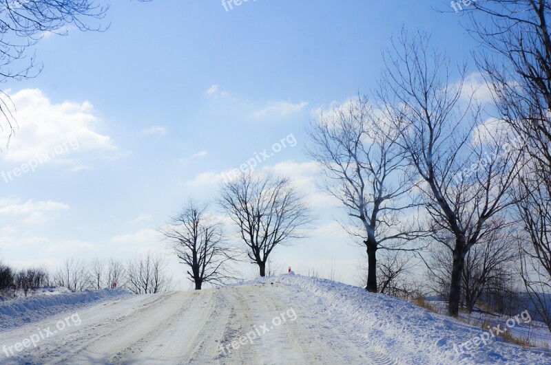 Winter Landscape Tree Nature Village