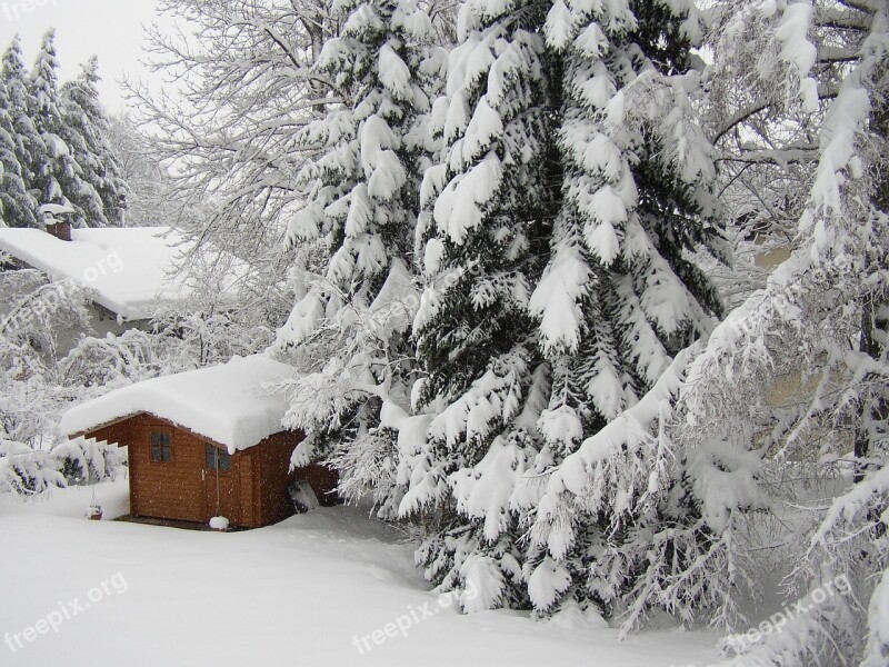 Winter Snow Cold Garden White