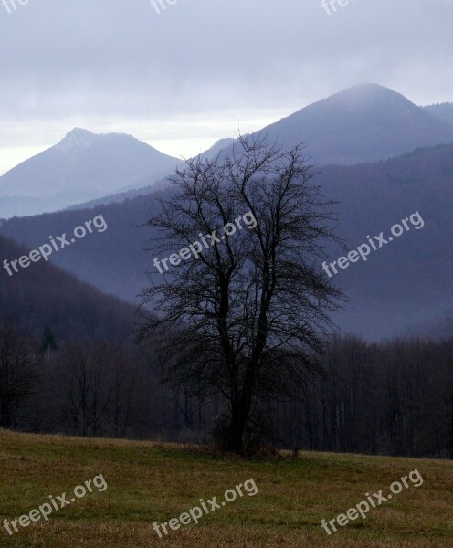 Slovakia Jesen Mountains Vápeč Homôlka