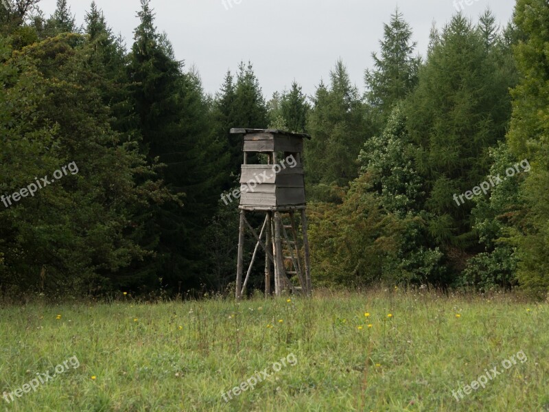 Pulpit Forest Meadow Wooden Lookout