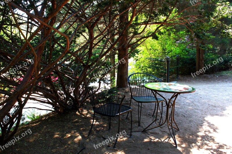 Landscape Break Table Wood Nature