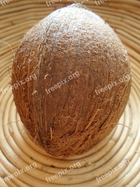 Coconut Round Fruit Healthy Exotic