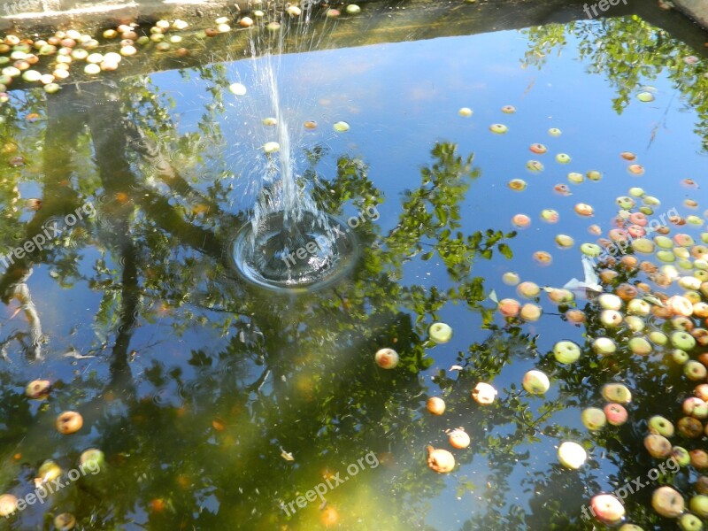 Drop Pool Garden Apple Blend