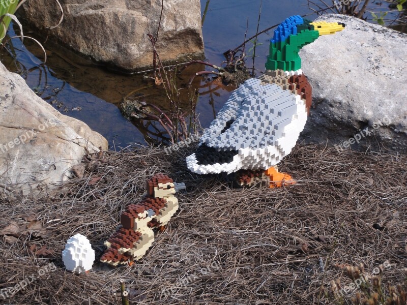 Lego Duck Nature Legos Lake