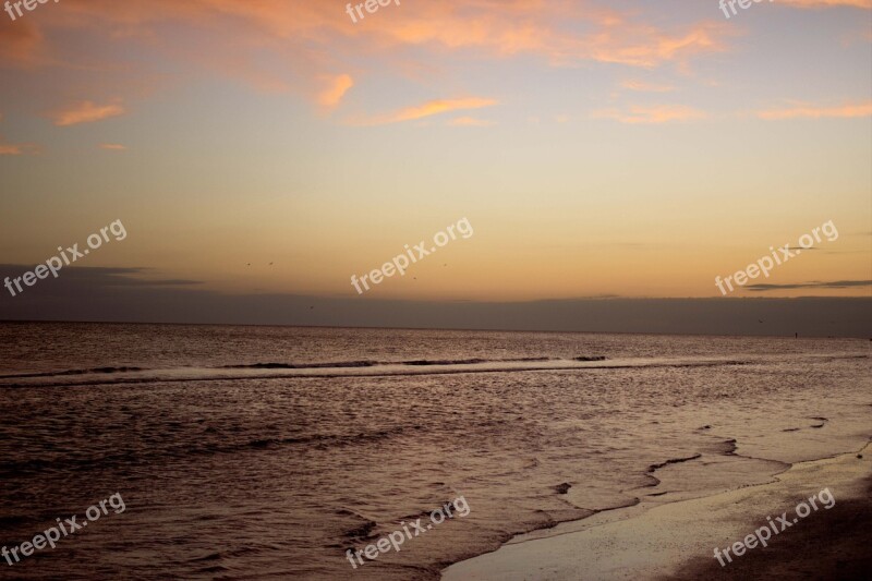 Beach Summer Sunset Summer Beach Sunny