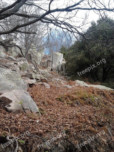 Autumn Catalonia Catalunya Mountain Hiking