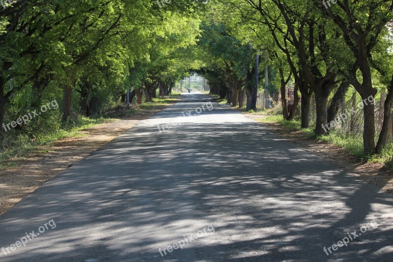 India Village Road Indian Village Rural India