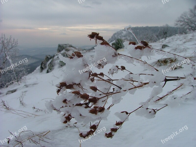 Ice Ice World Winter Beech Mountain Plateau