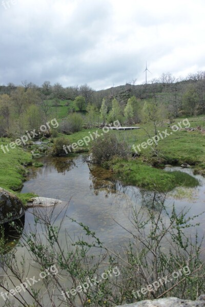 Water Ribeiro Mountain Stream Free Photos