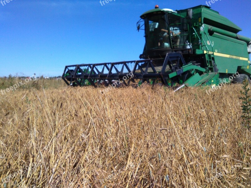 Harvesting Field Harvester Free Photos