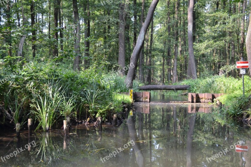 Spreewald Lausitz Spree River Rivers