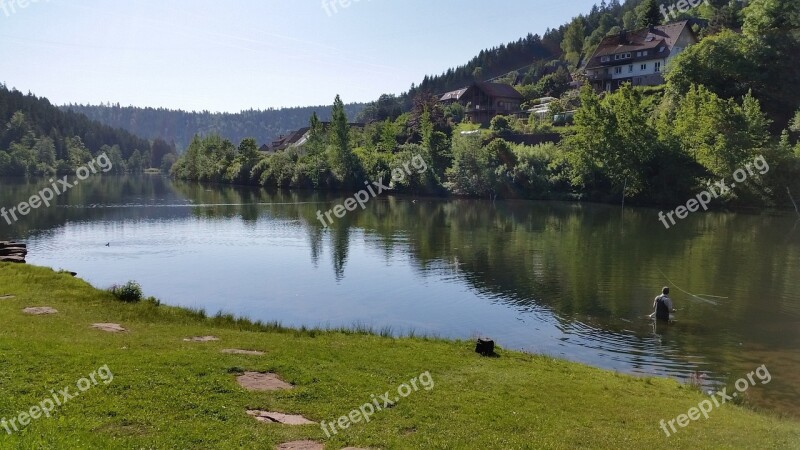 Forest Lake Nature Landscape Water