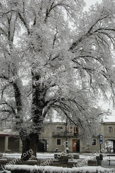 Guadarrama Olma Main Square Snow Winter