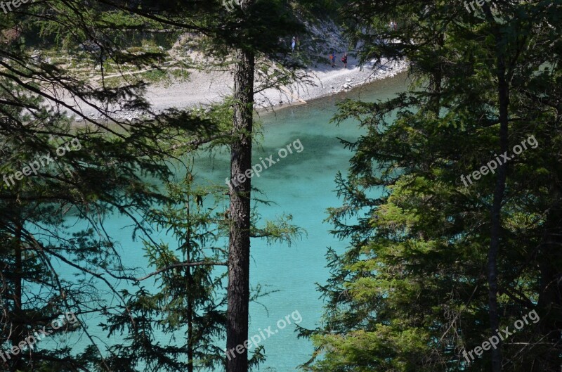 Water Turquoise Grünwaldsee Forest Styria