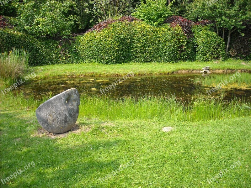 Garden Ornamental Garden Green Nature Grass