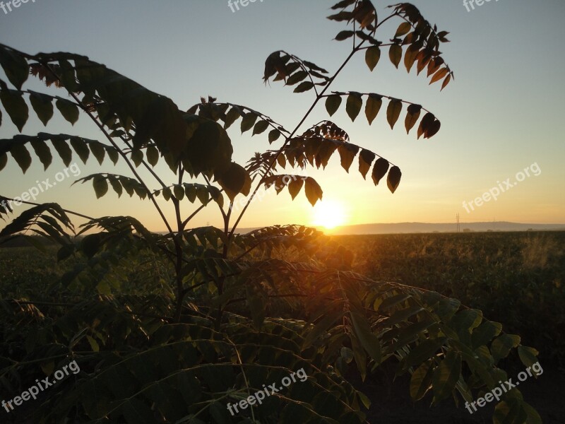 Dawn Sun Output Del Sol Horizon Sky