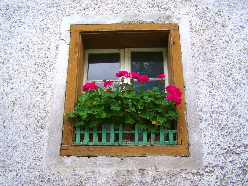 Old Window Geranium Old Window Old House Flowers Free Photos