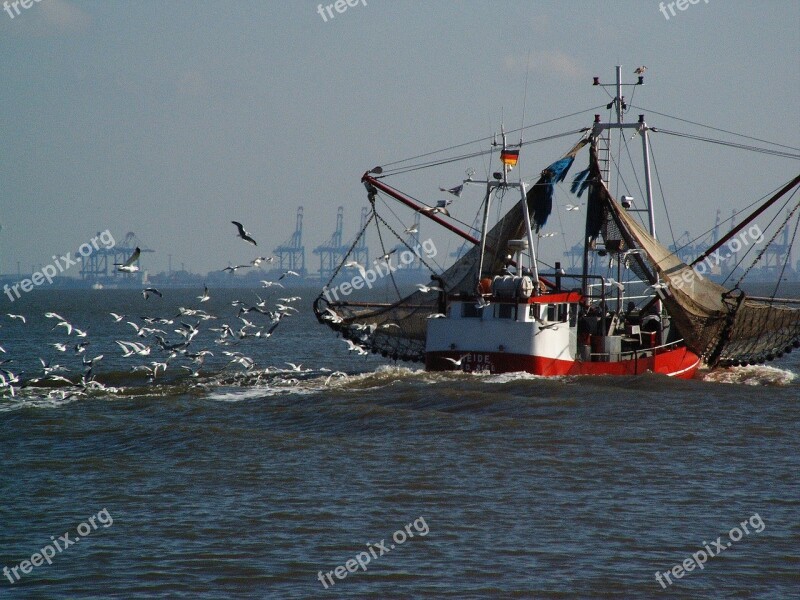 North Sea Cutter Crab Shrimp Fishing Vessel