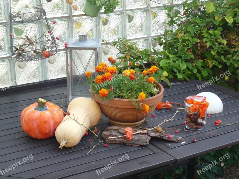 Autumn Kuerbis Harvest Vegetables Halloween