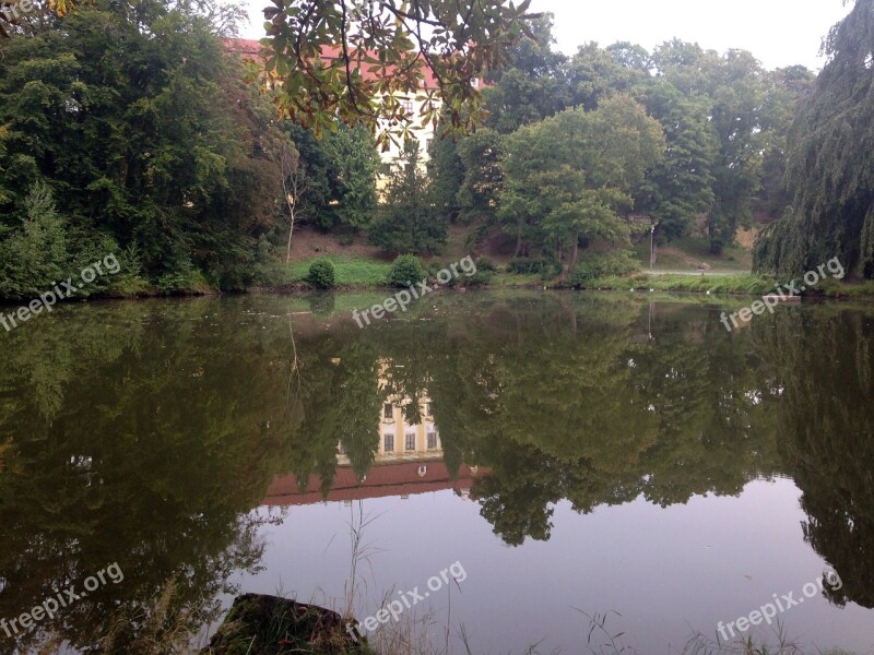 Lake Water Mirroring Bank Tree