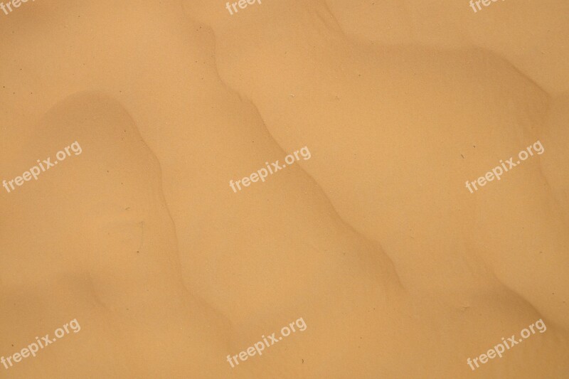 Dunes Desert Sahara Sand Free Photos