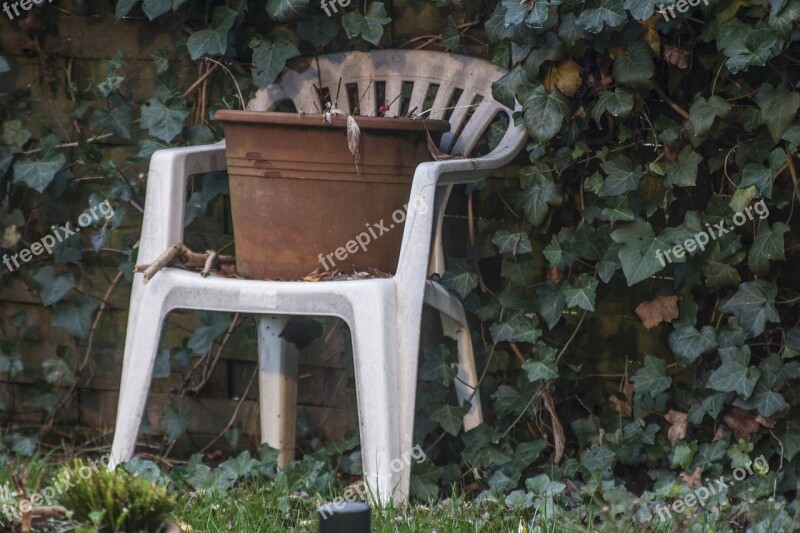 Terracotta Chair Ivy Still Life Garden