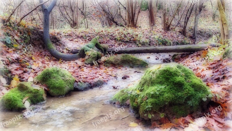 Olkusz Poland Landscape Autumn Water