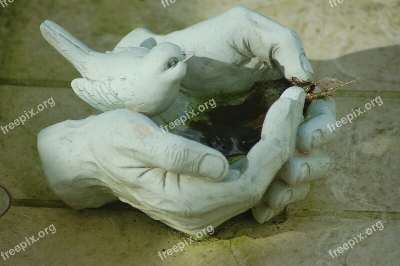 Drinking Trough Bird Hands Free Photos