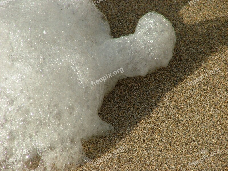 Scum Sand Sea Wave Beach