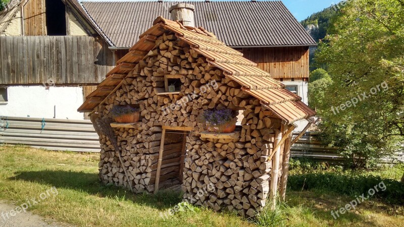 Wood Pile Logs Heap Cup Heating