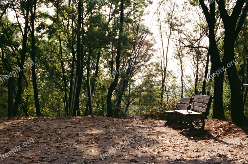 Autumn Sunshine Shelter Park Bench